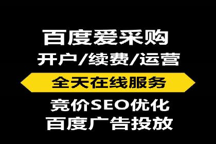 百度优化推广案例：快速提升网站排名